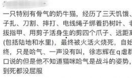 杰克辣条被人爆料视频是真的吗,真相究竟如何？