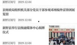 新野新闻爆料,揭秘当地热点事件背后的真相